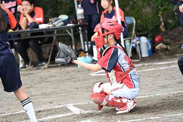 s-DSC_3797