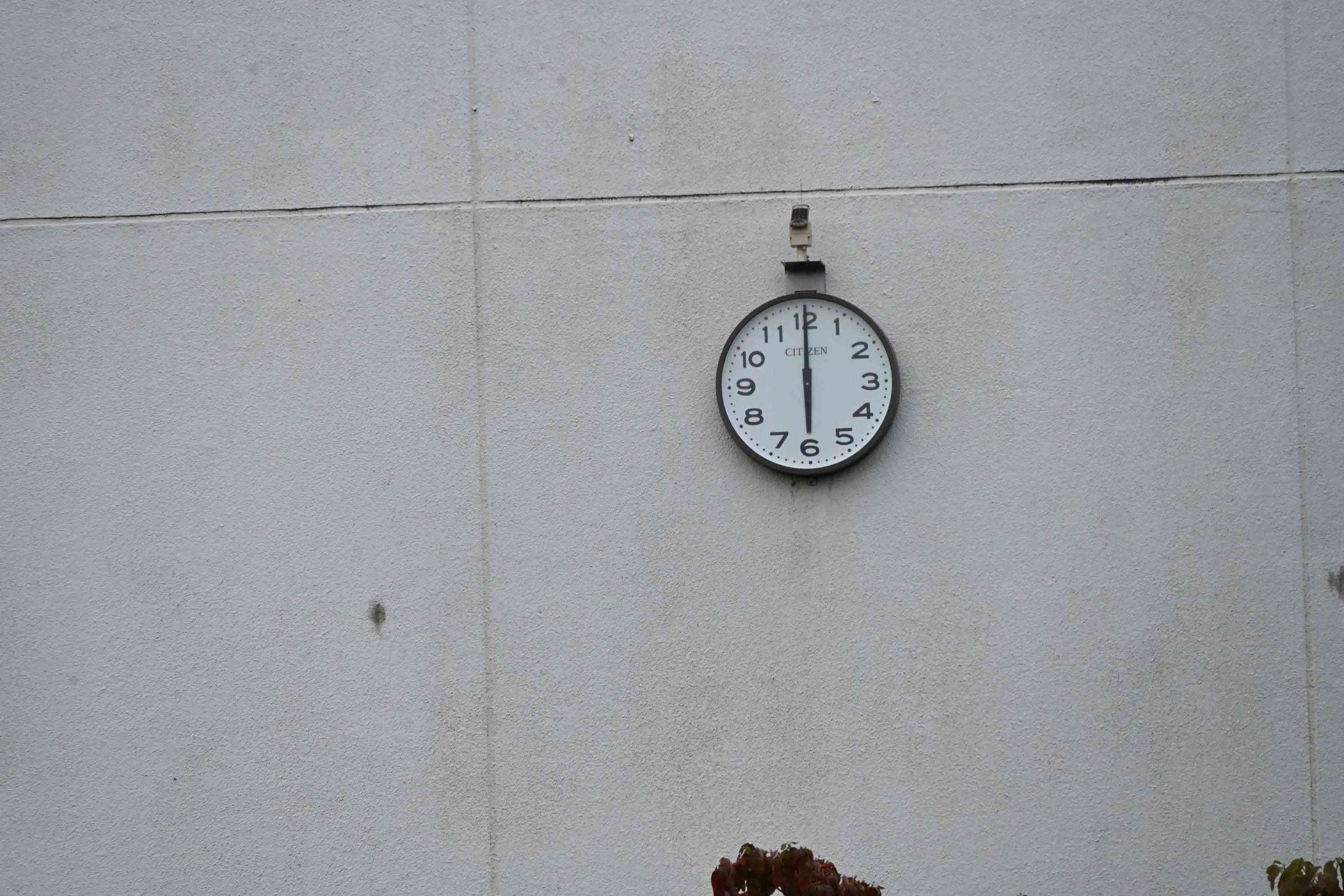 DSC_4800