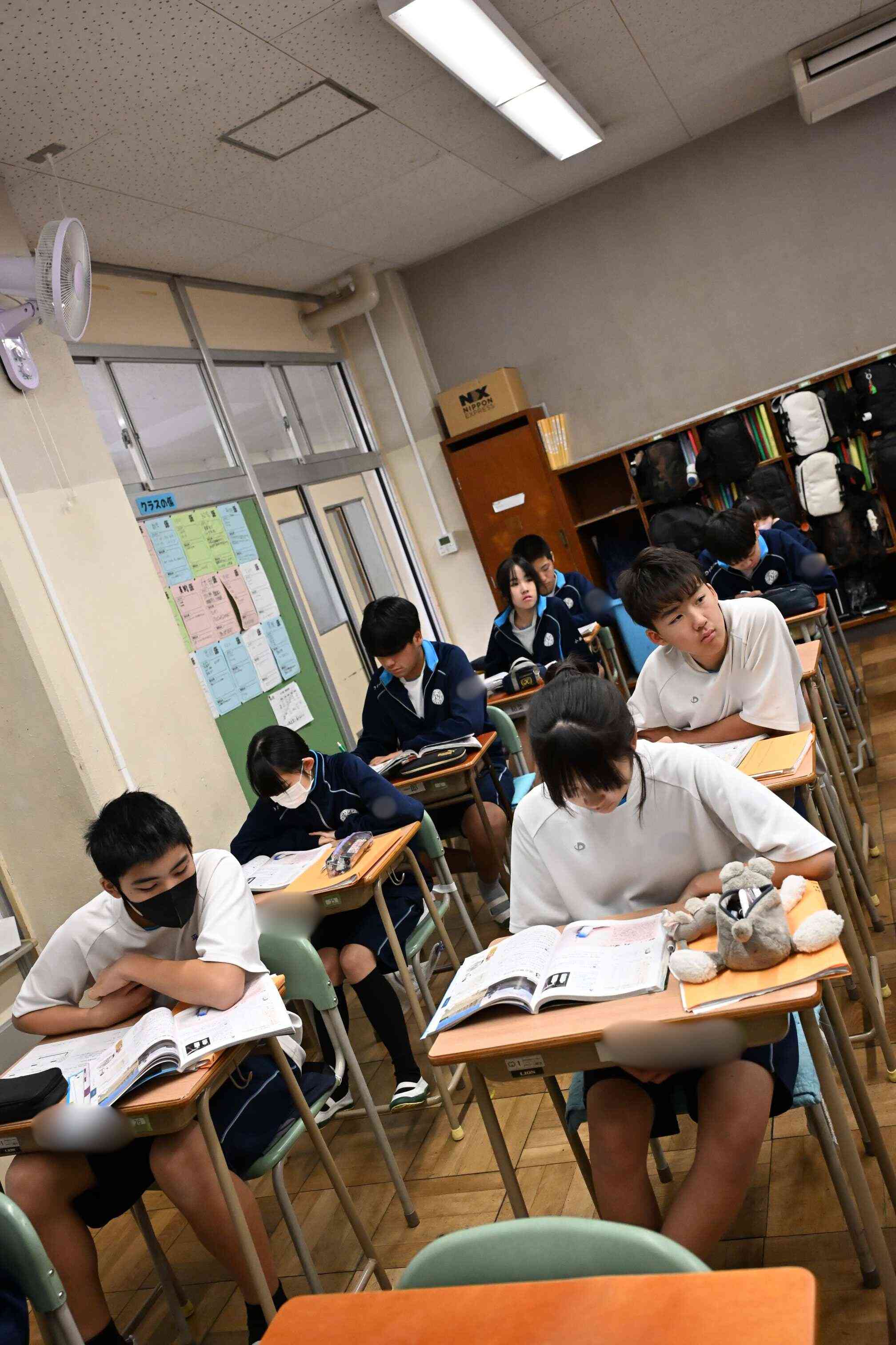 55a9580c-1314-431e-8061-3c955d455e71